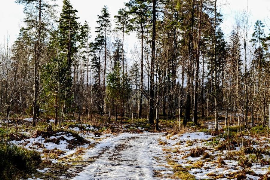 Marston Hill ξενώνας Mullsjö Εξωτερικό φωτογραφία